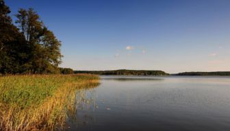 Mazury